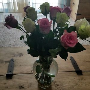 Meet your Posher, Amy